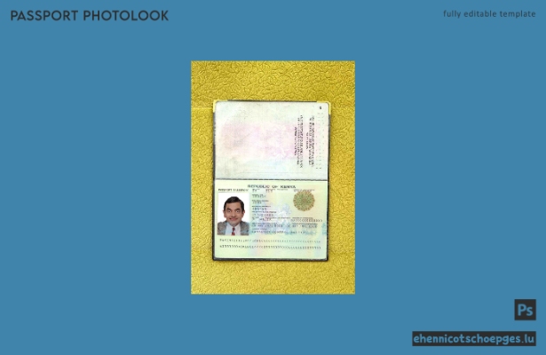 Beispielansicht für das Passfoto Kenias (2011–2019)